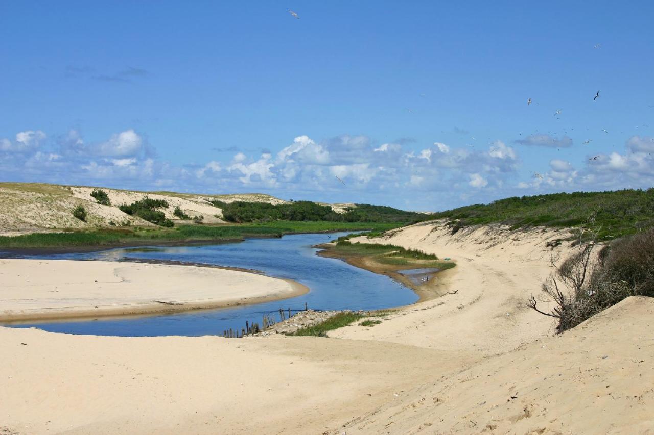Le Hameau Des Vagues 4-5 Pers Piscines Et Nature A Moliets Екстер'єр фото